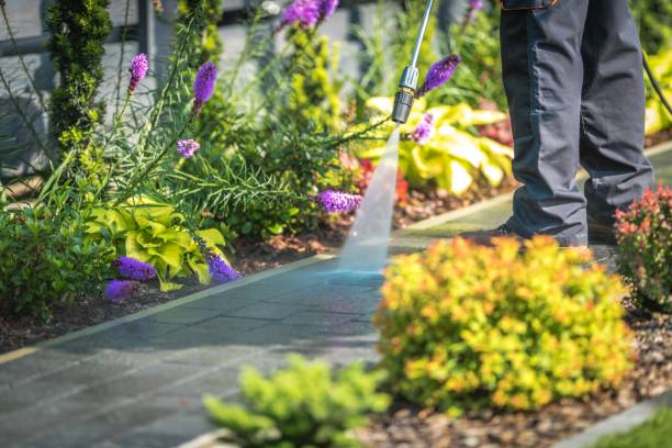 Professional Pressure Washing Services in Manvel, TX