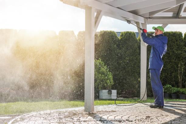 Best Fleet Vehicle Washing  in Manvel, TX