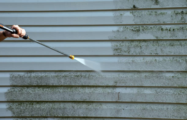 Best Sidewalk and Walkway Cleaning  in Manvel, TX