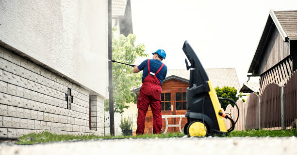 Best Roof Washing  in Manvel, TX